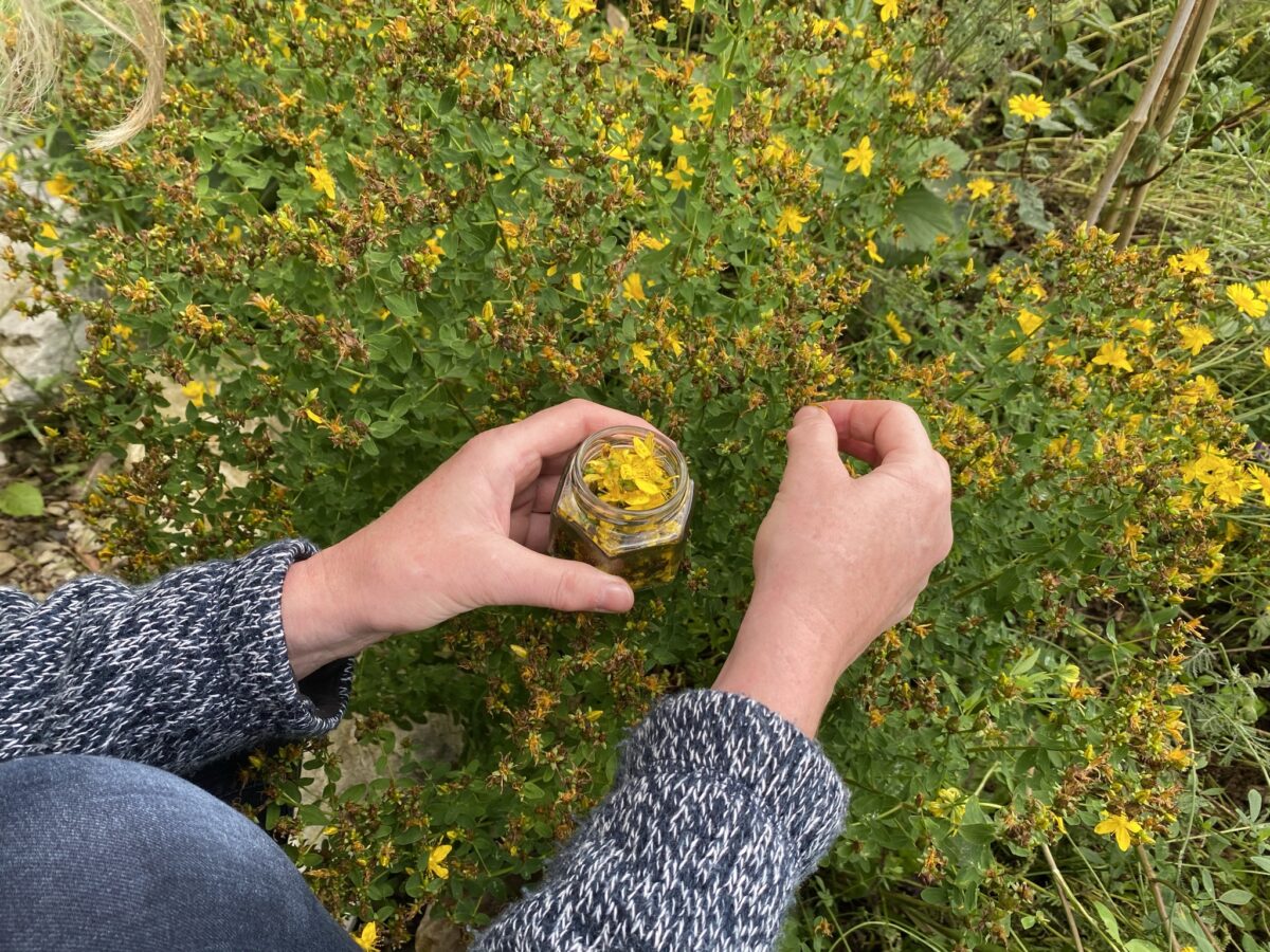 Phytotherapie-Ausbildung
