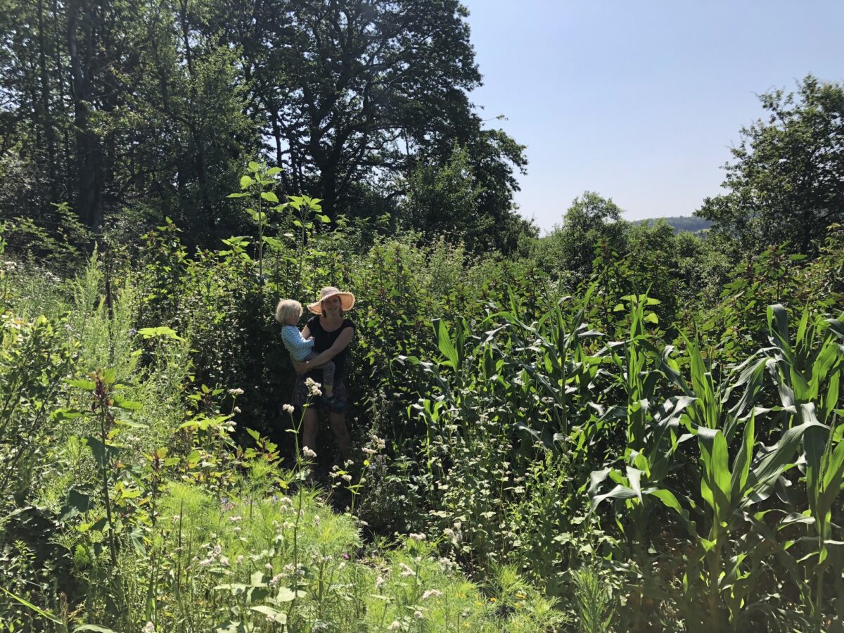Unser Seminargarten - Ethnobotanisches Institut