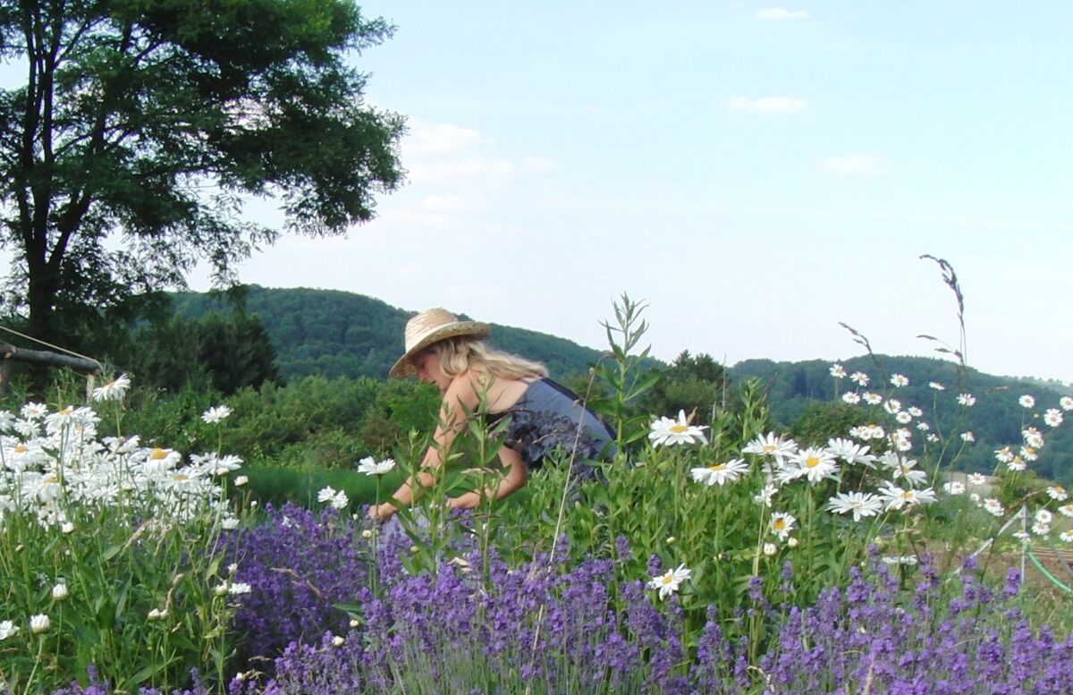 Phytotherapie-Ausbildung