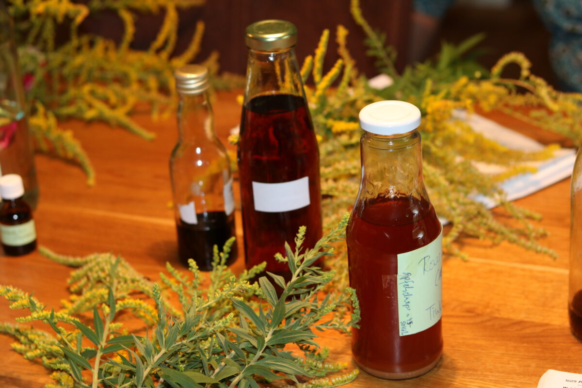 Phytotherapie-Ausbildung